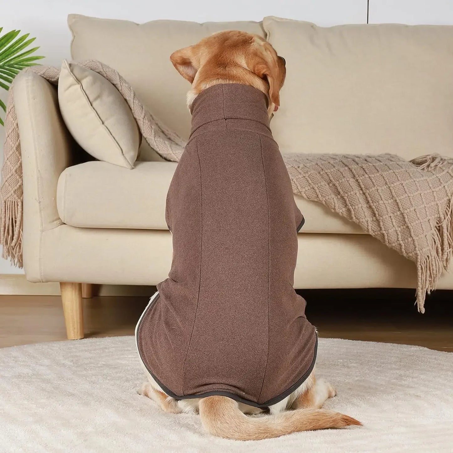 High-Neck Dog Vest – Warm Winter Jacket for Small & Medium Dogs