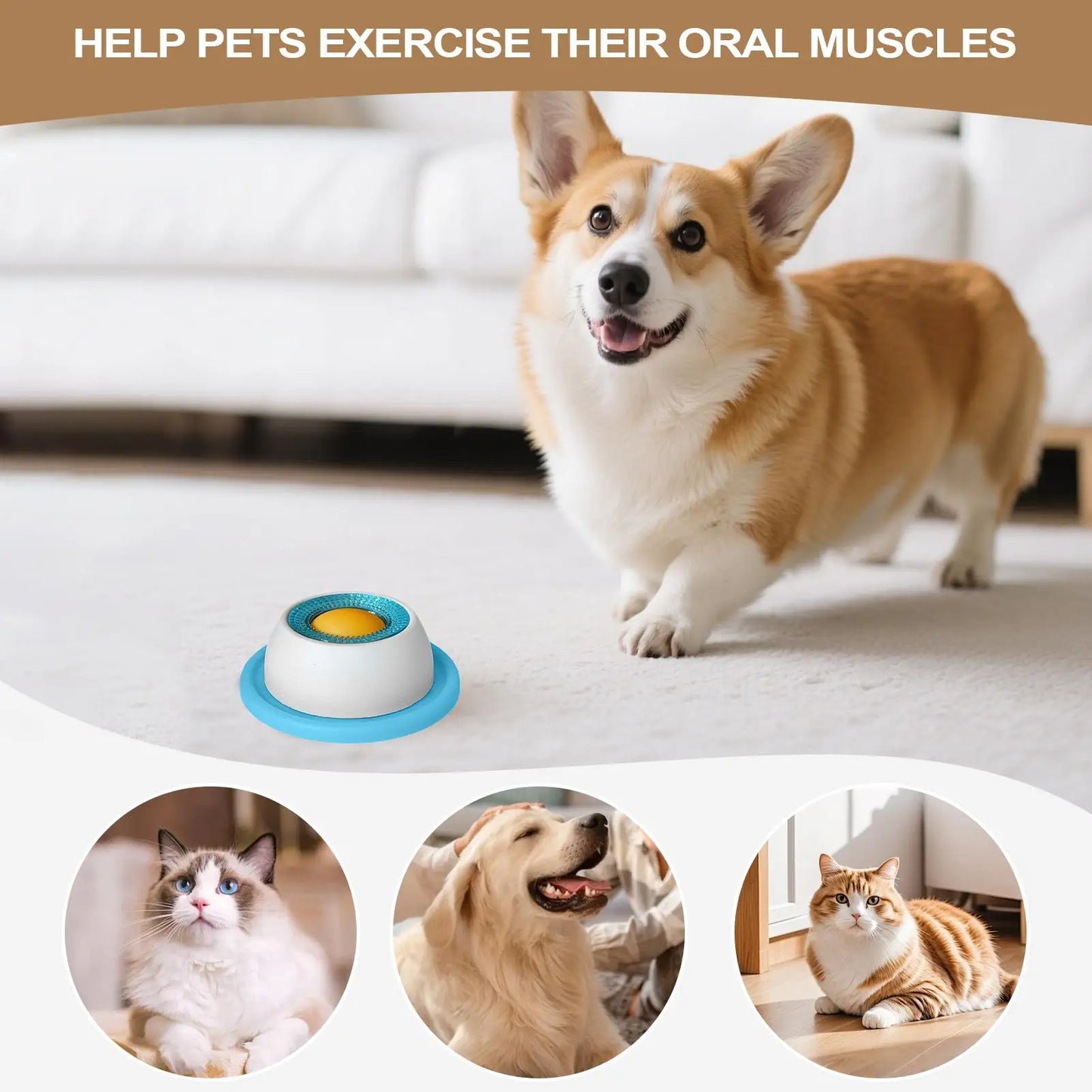 Dog Puzzle Treat Toy – Slow Feeder & Interactive Food Dispenser